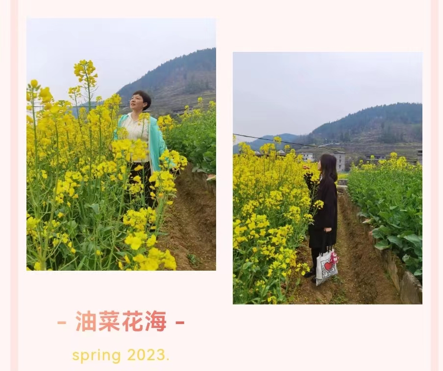 1678265638180989.jpg 1678265638180989.jpg